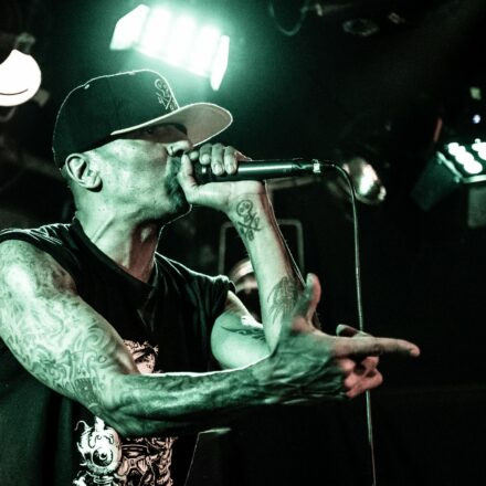 Hed PE / What A Funk / Sphex @ Viper Room