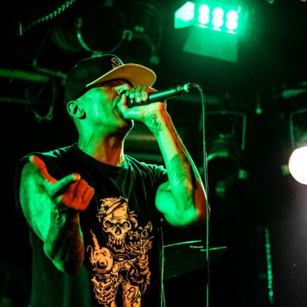 Hed PE / What A Funk / Sphex @ Viper Room