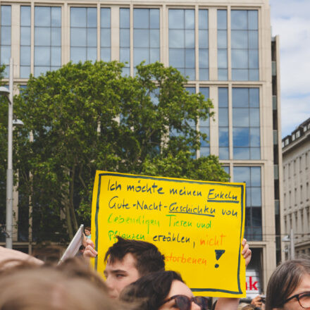 Streik mit Greta Thunberg @ Heldenplatz Wien