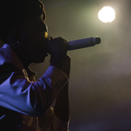 Little Simz @ WUK