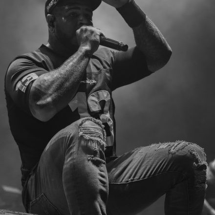 Five Finger Death Punch