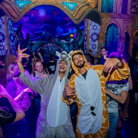 Paradise Winter Festival 2020 // Tag 1