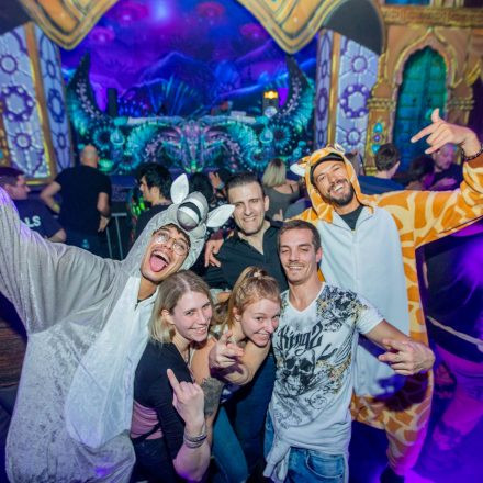 Paradise Winter Festival 2020 // Tag 1