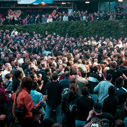 Feine Sahne Fischfilet @ Arena Open Air