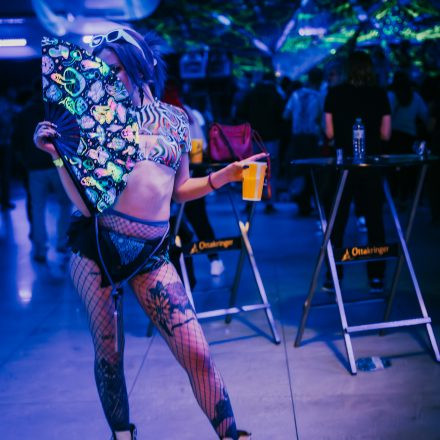 Paradise Spring Gathering 2025