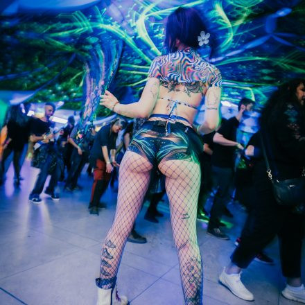 Paradise Spring Gathering 2025