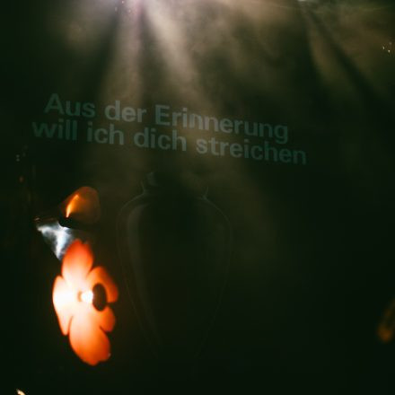 Oehl
