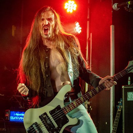 Mundart Vol. 10 - Metternich, Crowdfleckerl, Chris Zitta & Band und D-Band