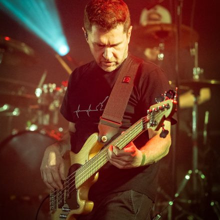 Mundart Vol. 10 - Metternich, Crowdfleckerl, Chris Zitta & Band und D-Band