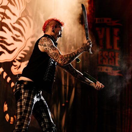 Wildstyle & Tattoo Messe 2025