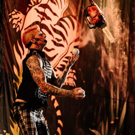 Wildstyle & Tattoo Messe 2025