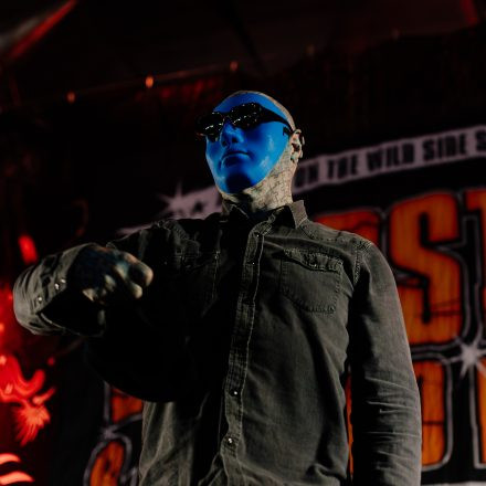 Wildstyle & Tattoo Messe 2025