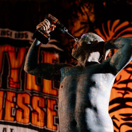 Wildstyle & Tattoo Messe 2025
