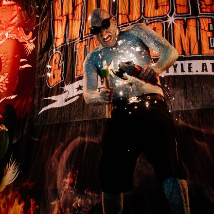 Wildstyle & Tattoo Messe 2025