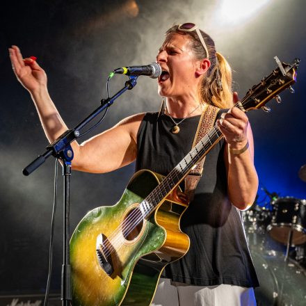 Mundart Vol. 10 - Metternich, Crowdfleckerl, Chris Zitta & Band und D-Band
