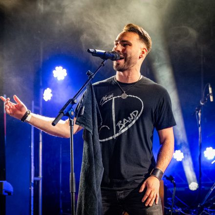 Mundart Vol. 10 - Metternich, Crowdfleckerl, Chris Zitta & Band und D-Band