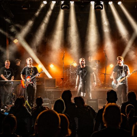 Mundart Vol. 10 - Metternich, Crowdfleckerl, Chris Zitta & Band und D-Band
