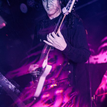 Born of Osiris
