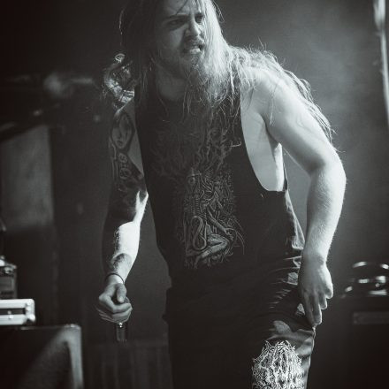 Aborted + Crypta + The Zenith Passage + Organectomy