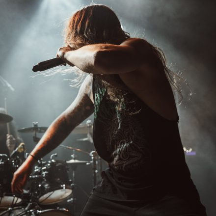 Aborted + Crypta + The Zenith Passage + Organectomy