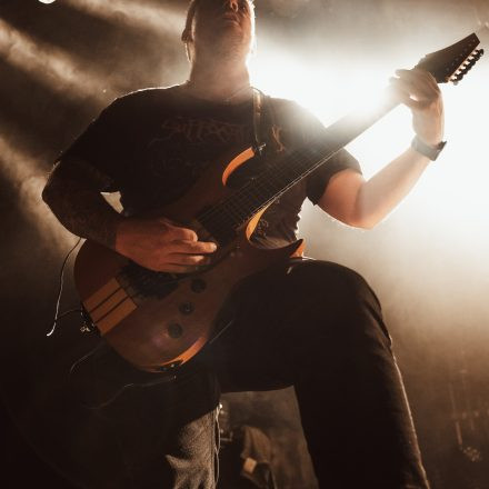 Aborted + Crypta + The Zenith Passage + Organectomy