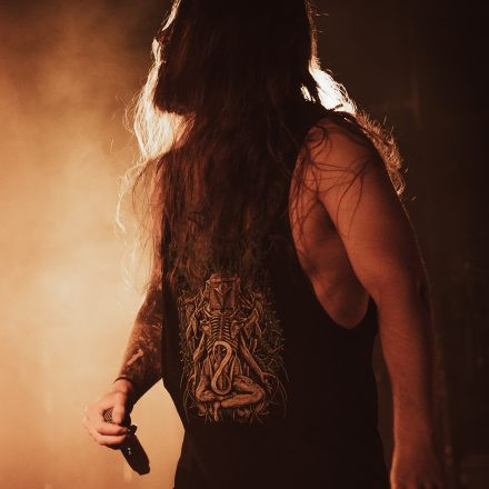 Aborted + Crypta + The Zenith Passage + Organectomy