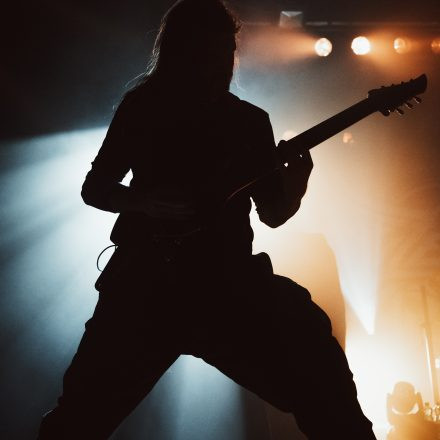 Aborted + Crypta + The Zenith Passage + Organectomy