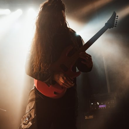 Aborted + Crypta + The Zenith Passage + Organectomy