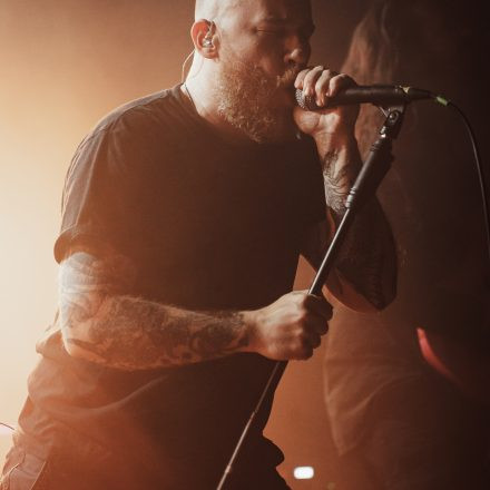 Aborted + Crypta + The Zenith Passage + Organectomy