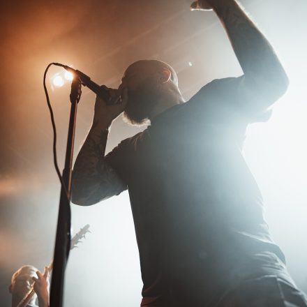 Aborted + Crypta + The Zenith Passage + Organectomy