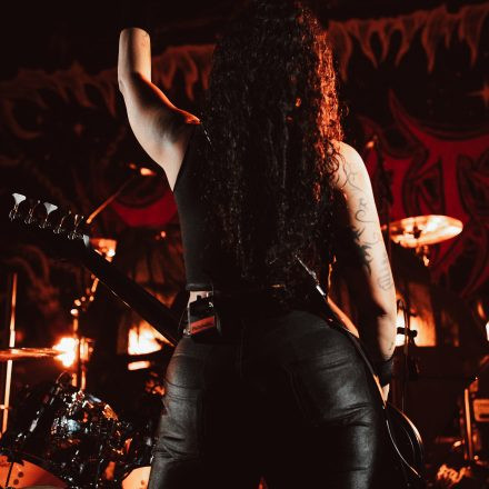 Aborted + Crypta + The Zenith Passage + Organectomy