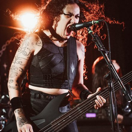 Aborted + Crypta + The Zenith Passage + Organectomy