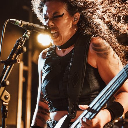 Aborted + Crypta + The Zenith Passage + Organectomy