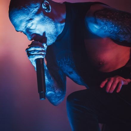 Aborted + Crypta + The Zenith Passage + Organectomy