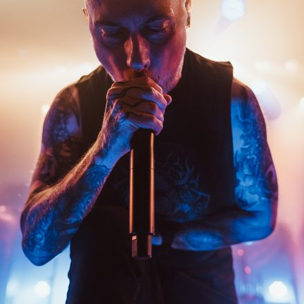 Aborted + Crypta + The Zenith Passage + Organectomy