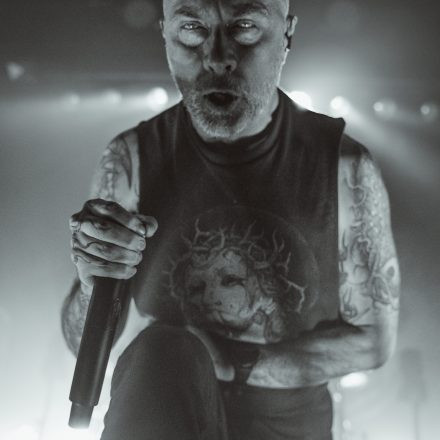 Aborted + Crypta + The Zenith Passage + Organectomy