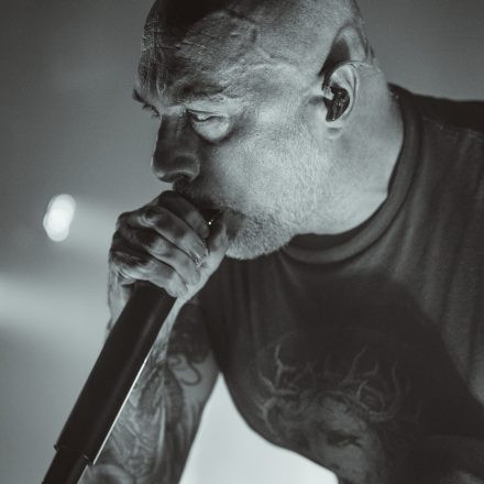 Aborted + Crypta + The Zenith Passage + Organectomy