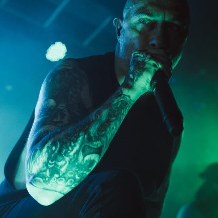 Aborted + Crypta + The Zenith Passage + Organectomy