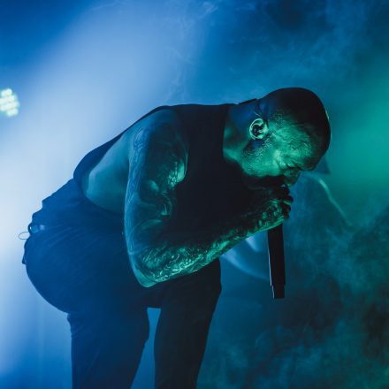 Aborted + Crypta + The Zenith Passage + Organectomy