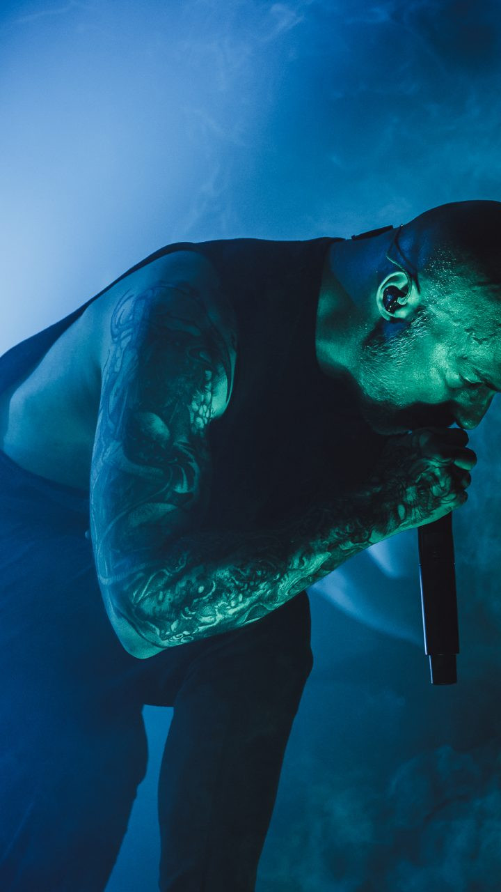 Aborted + Crypta + The Zenith Passage + Organectomy