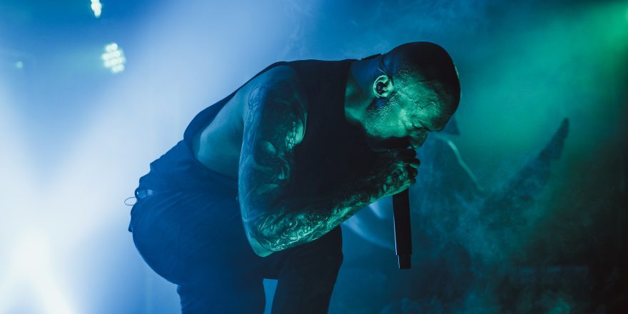 Aborted + Crypta + The Zenith Passage + Organectomy