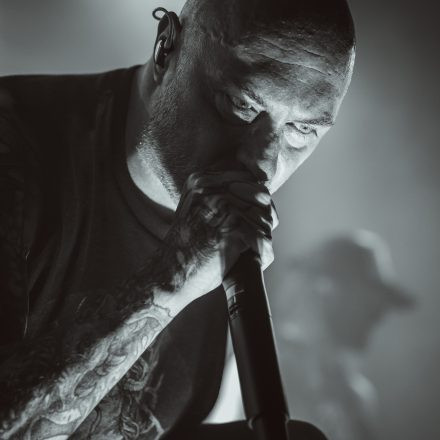 Aborted + Crypta + The Zenith Passage + Organectomy