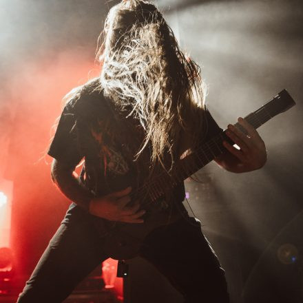 Aborted + Crypta + The Zenith Passage + Organectomy