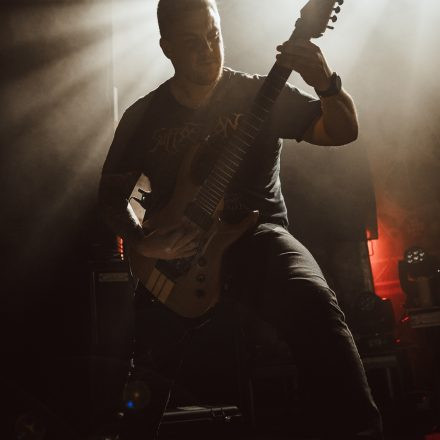 Aborted + Crypta + The Zenith Passage + Organectomy