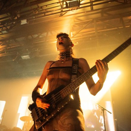 IAMX
