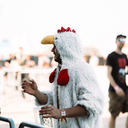 Nova Rock Festival 2025 – Donnerstag - Teil 2