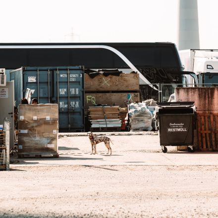 Nova Rock Festival 2025 – Samstag – Teil 1