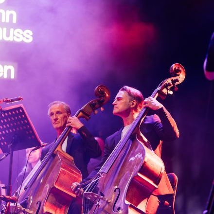 Donauinselfest 2025 - Freitag