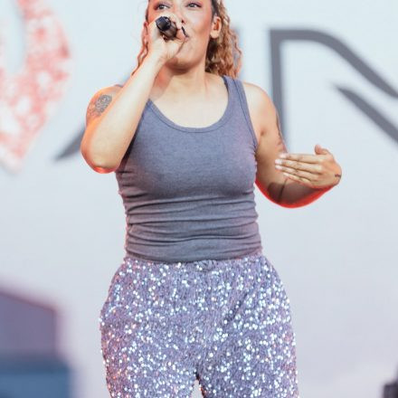 Donauinselfest 2025 - Samstag
