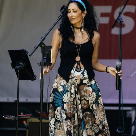Donauinselfest 2025 - Sonntag